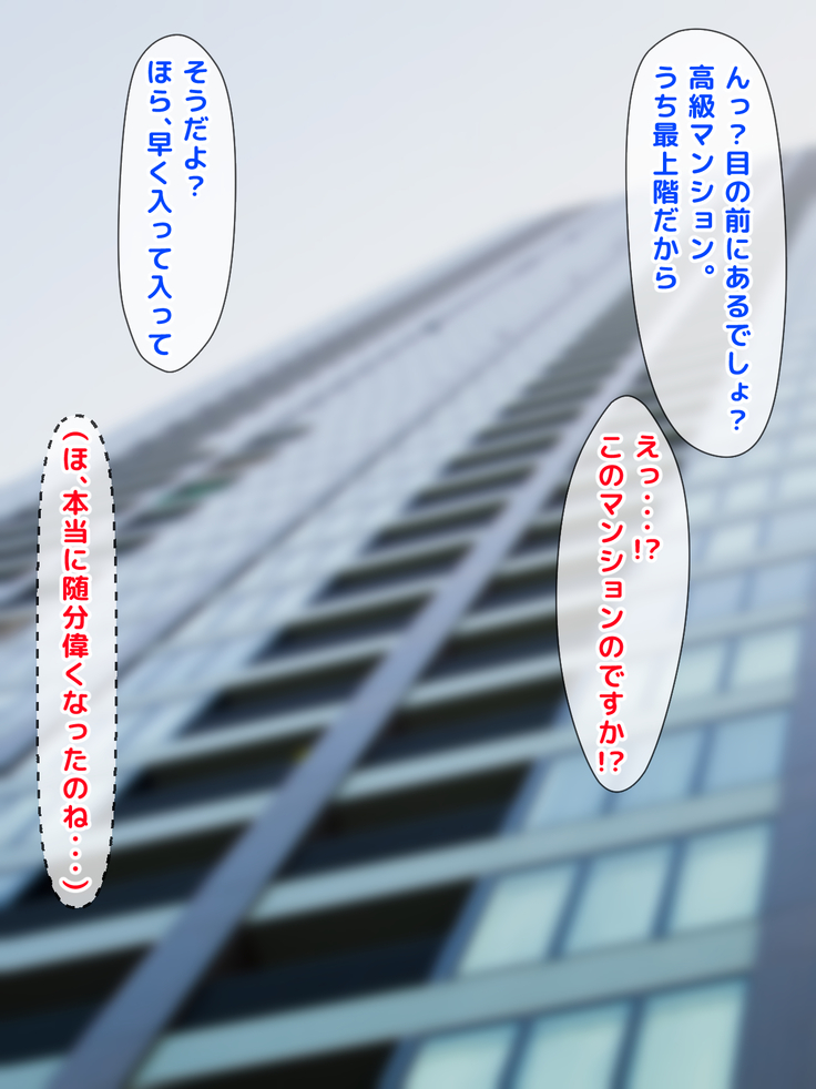 Kimeseku Enjo Kousai de Otto ni Ienai Shakkin o Kaeshite Iku Uchi ni, Kimeseku ni Hamatte Iku Hitozuma no Jitsuwa.
