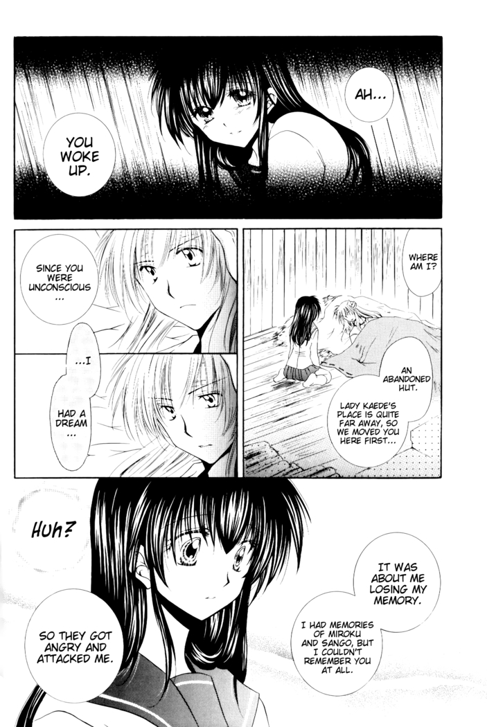 Ryuusei Ryodan | Falling Star Brigade