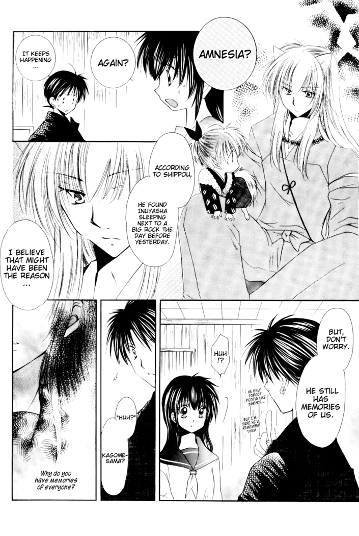 Ryuusei Ryodan | Falling Star Brigade
