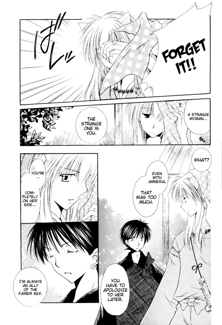 Ryuusei Ryodan | Falling Star Brigade