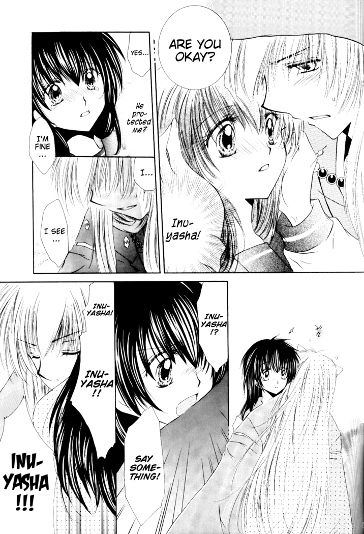 Ryuusei Ryodan | Falling Star Brigade