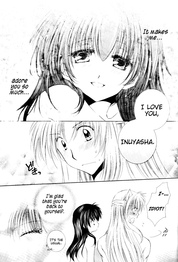 Ryuusei Ryodan | Falling Star Brigade