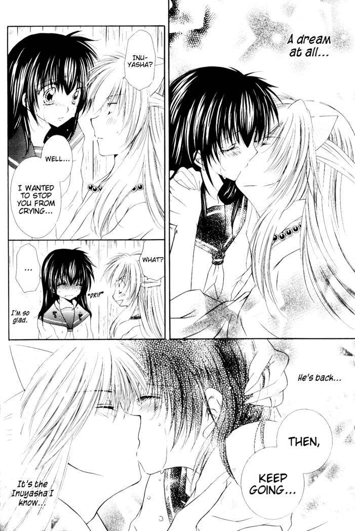 Ryuusei Ryodan | Falling Star Brigade