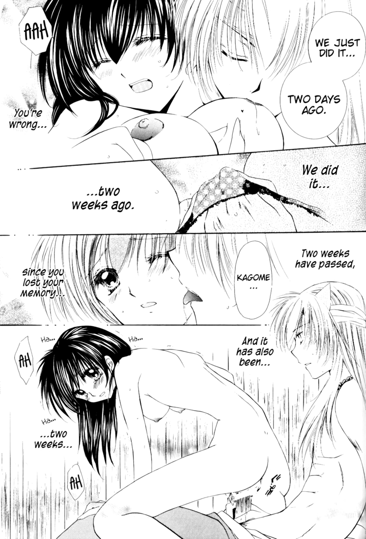 Ryuusei Ryodan | Falling Star Brigade