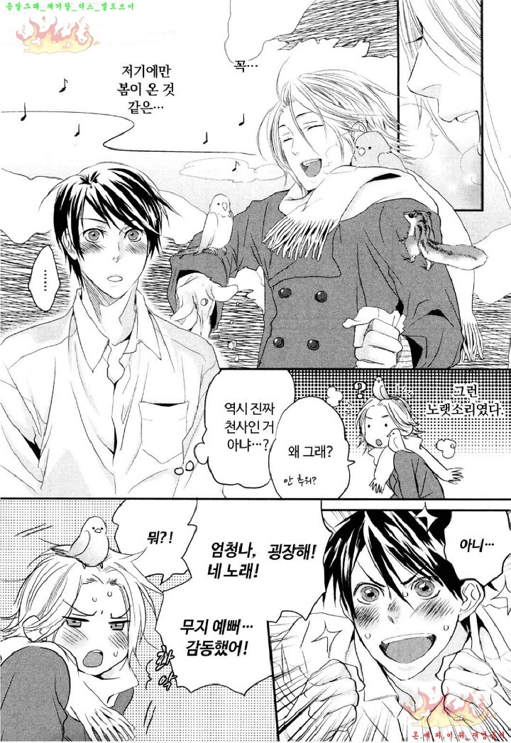 Aigan Doll 100% | 애완 돌 100%