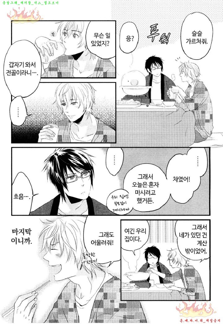 Aigan Doll 100% | 애완 돌 100%