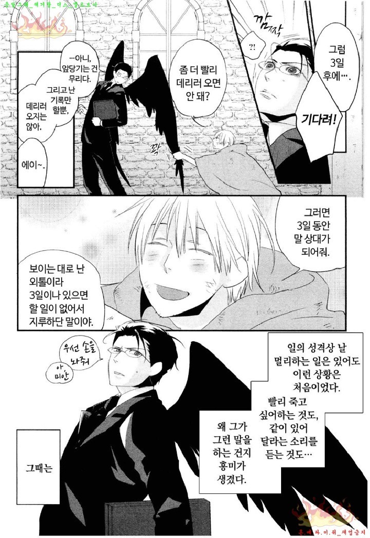 Aigan Doll 100% | 애완 돌 100%