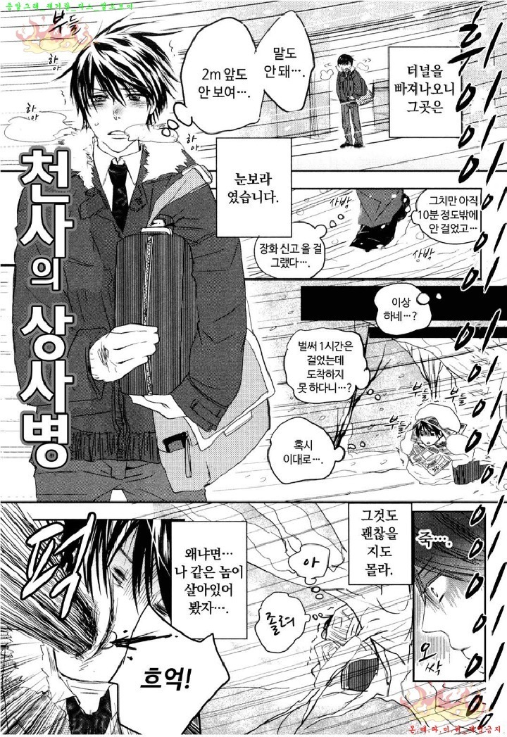 Aigan Doll 100% | 애완 돌 100%