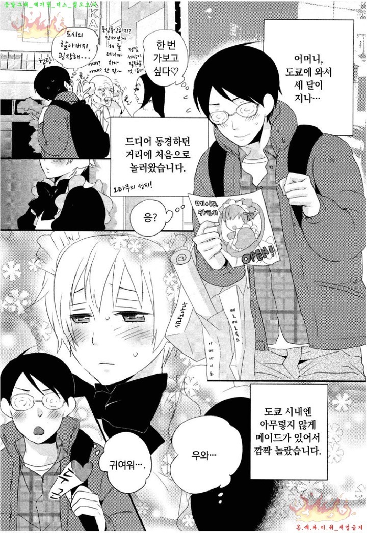 Aigan Doll 100% | 애완 돌 100%