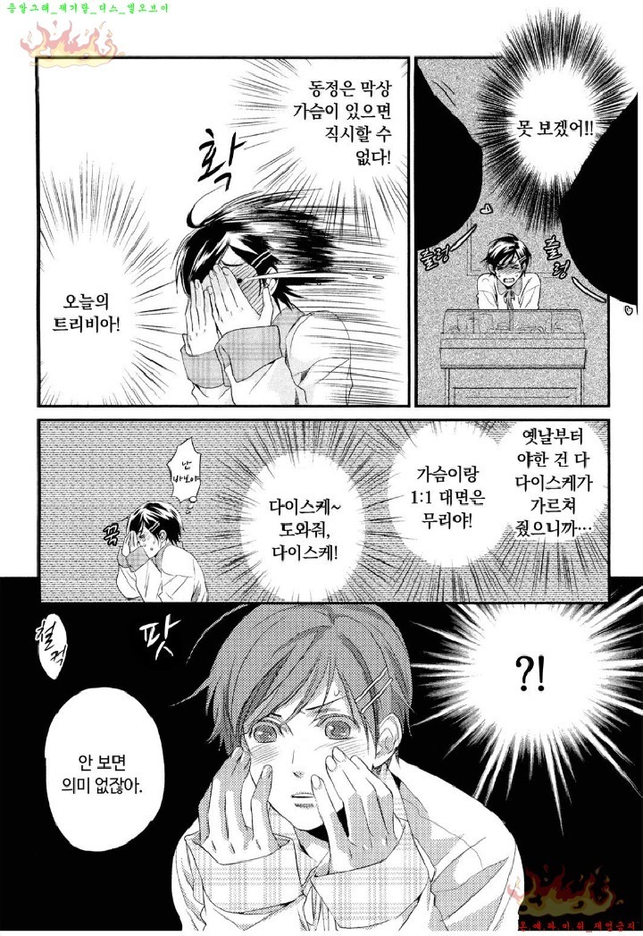 Aigan Doll 100% | 애완 돌 100%