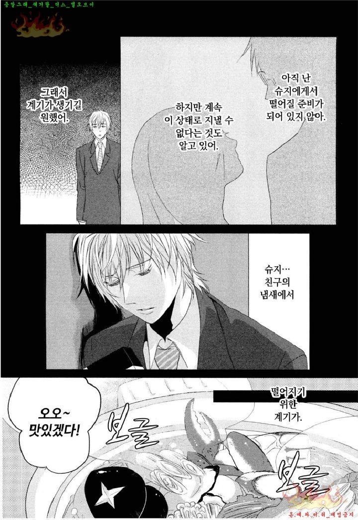 Aigan Doll 100% | 애완 돌 100%