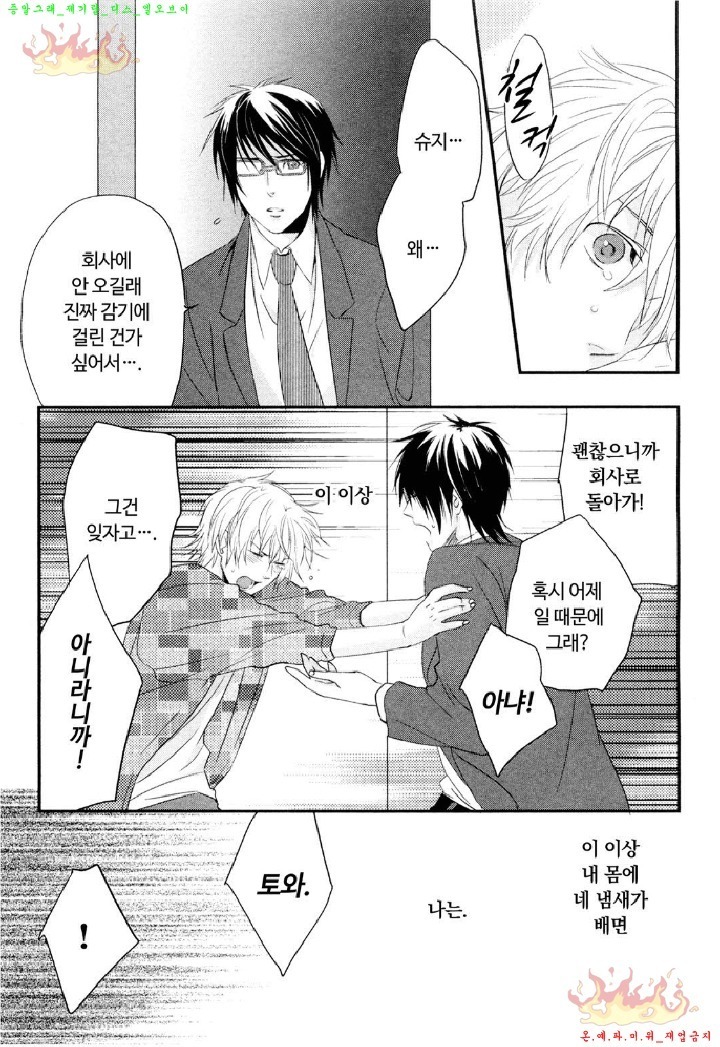 Aigan Doll 100% | 애완 돌 100%