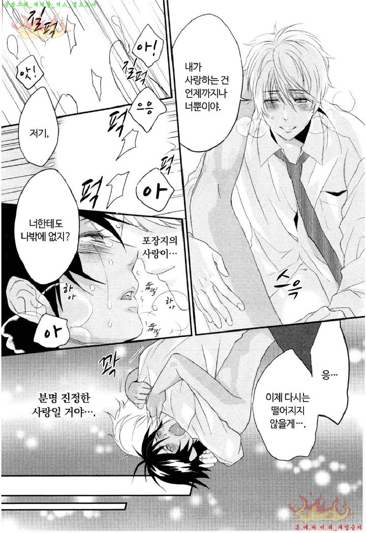 Aigan Doll 100% | 애완 돌 100%