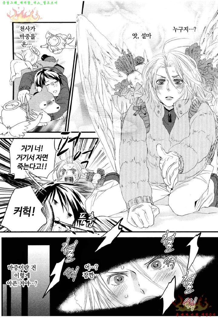 Aigan Doll 100% | 애완 돌 100%