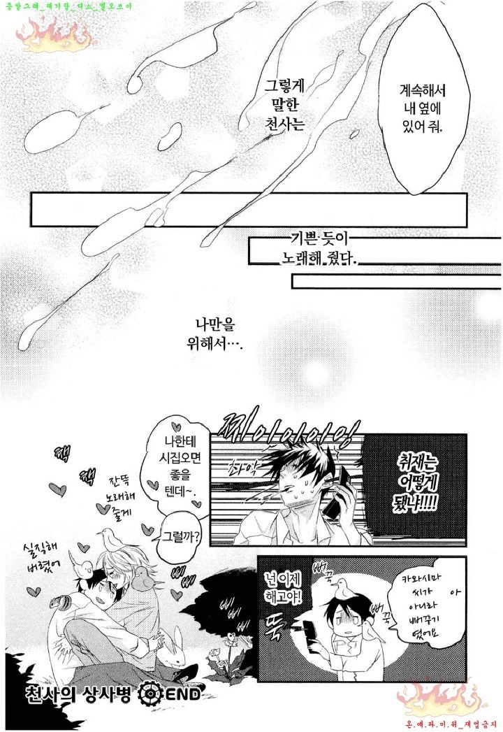 Aigan Doll 100% | 애완 돌 100%