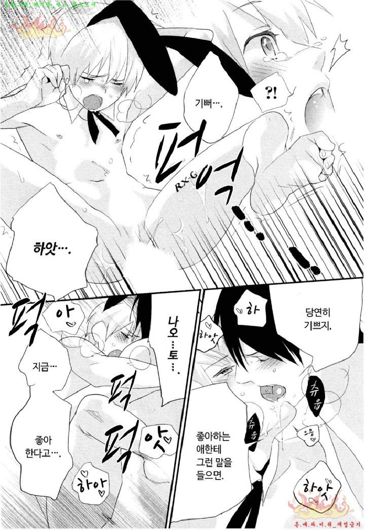 Aigan Doll 100% | 애완 돌 100%