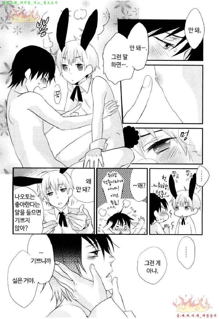 Aigan Doll 100% | 애완 돌 100%