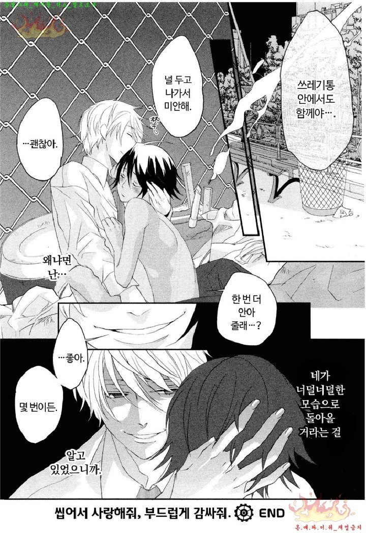 Aigan Doll 100% | 애완 돌 100%