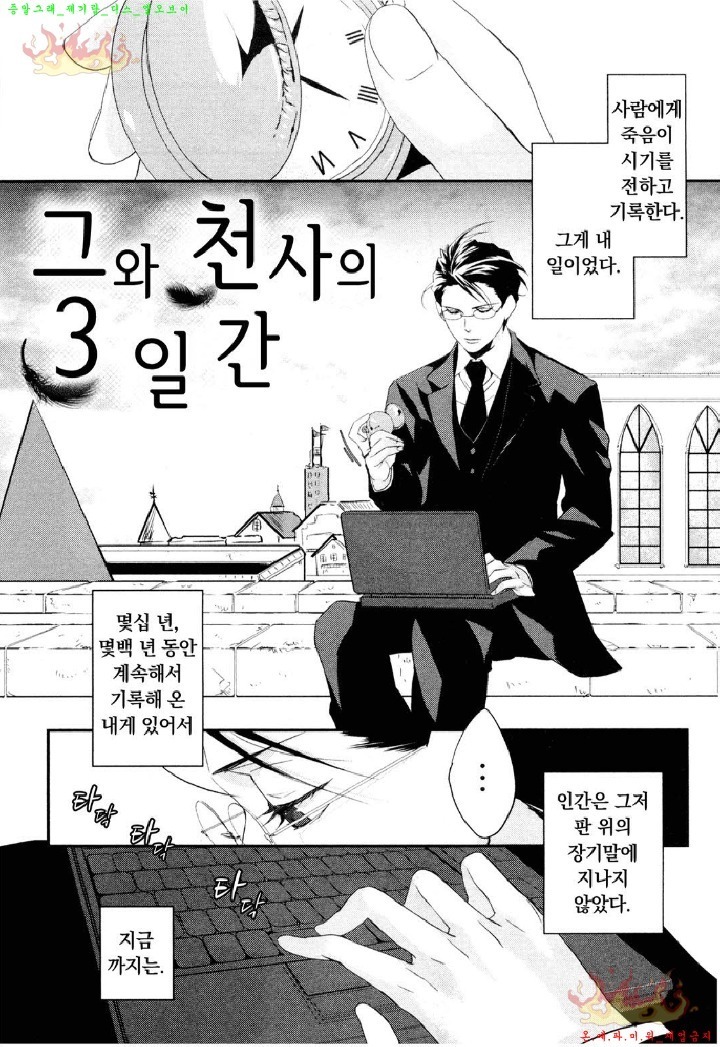 Aigan Doll 100% | 애완 돌 100%