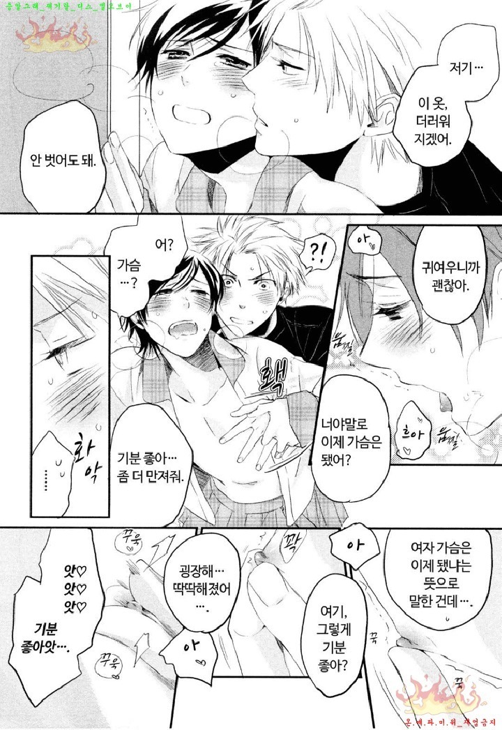 Aigan Doll 100% | 애완 돌 100%