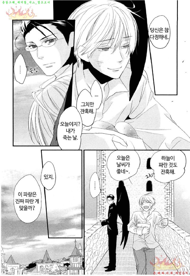 Aigan Doll 100% | 애완 돌 100%