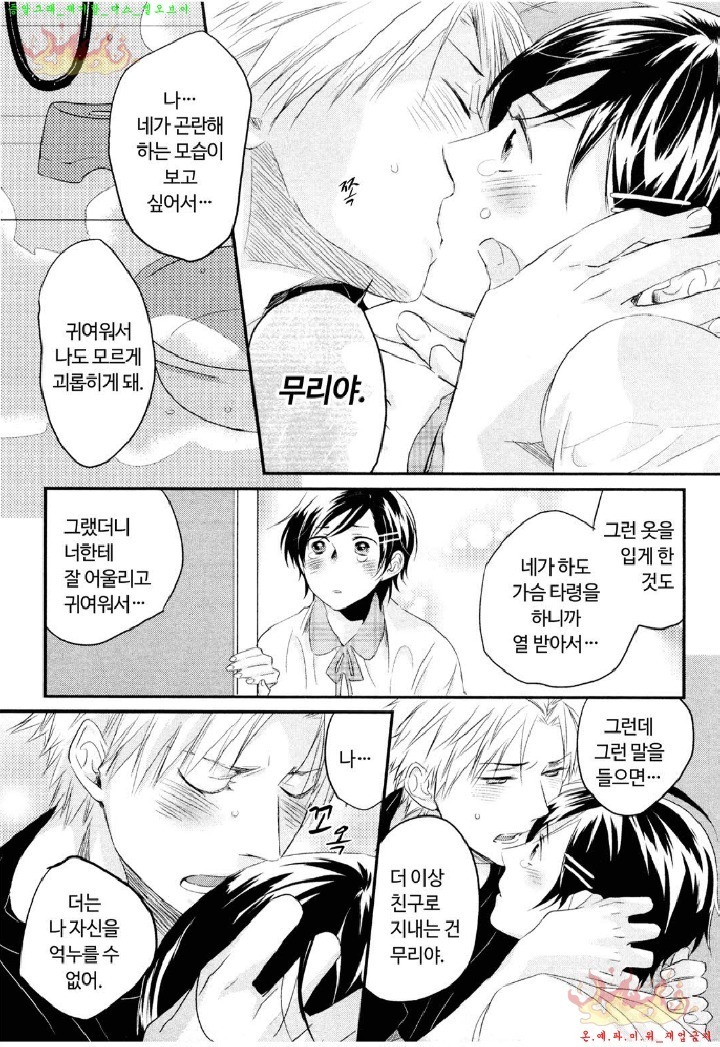 Aigan Doll 100% | 애완 돌 100%
