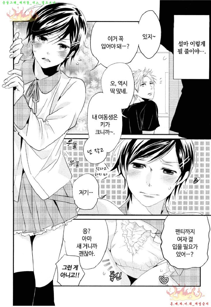 Aigan Doll 100% | 애완 돌 100%