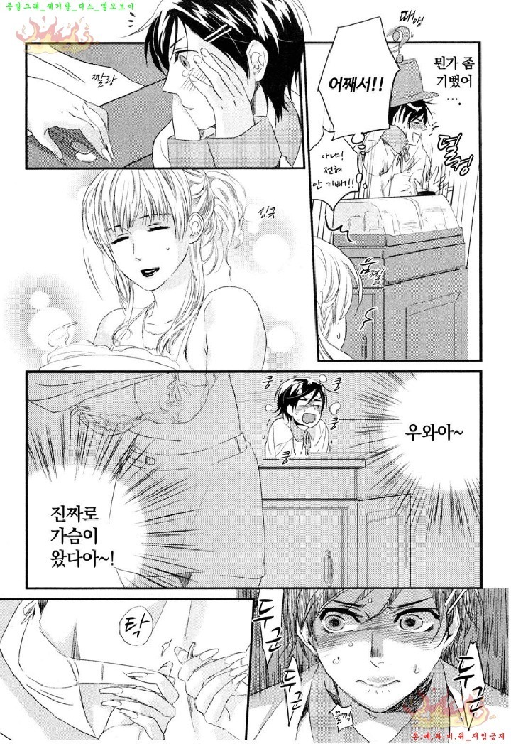 Aigan Doll 100% | 애완 돌 100%