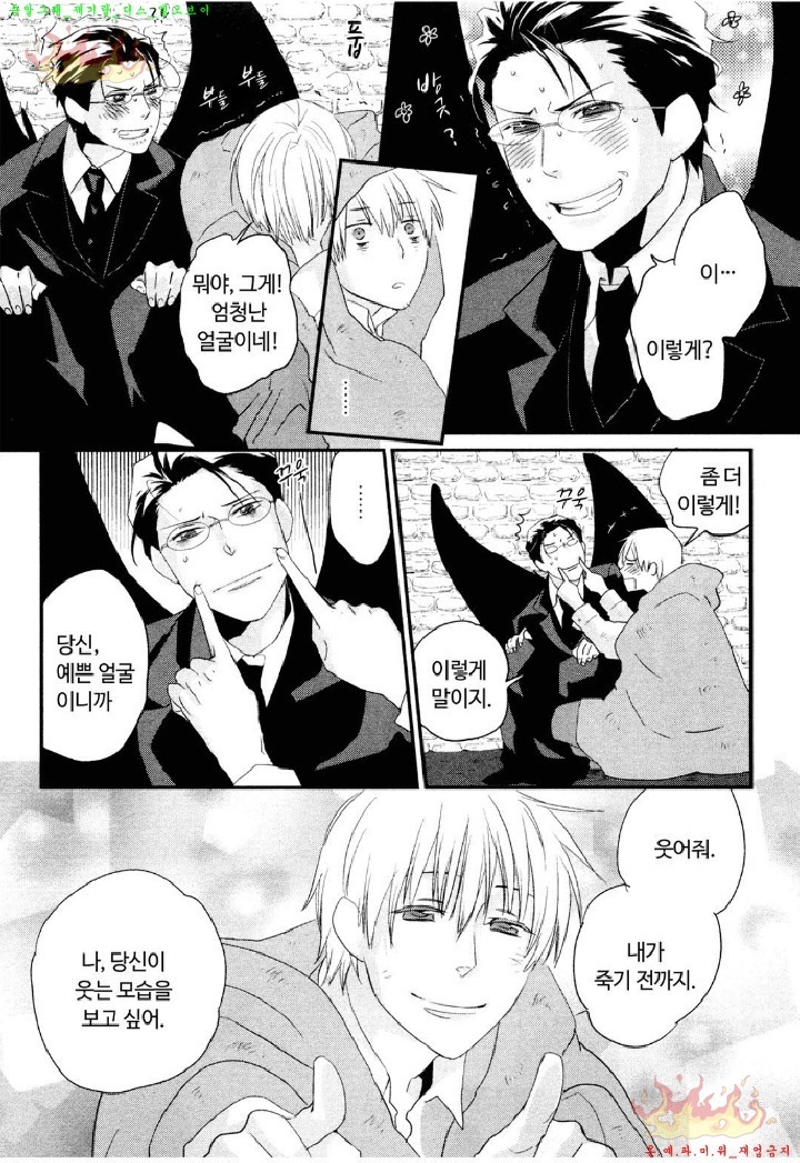 Aigan Doll 100% | 애완 돌 100%