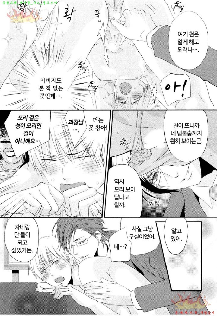 Aigan Doll 100% | 애완 돌 100%