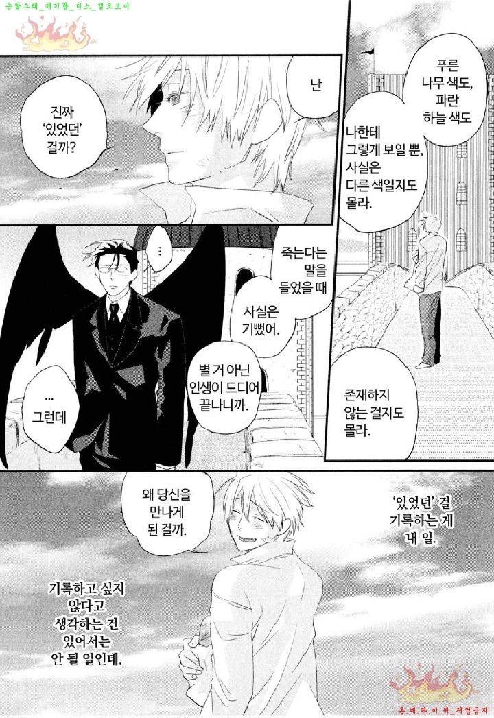 Aigan Doll 100% | 애완 돌 100%