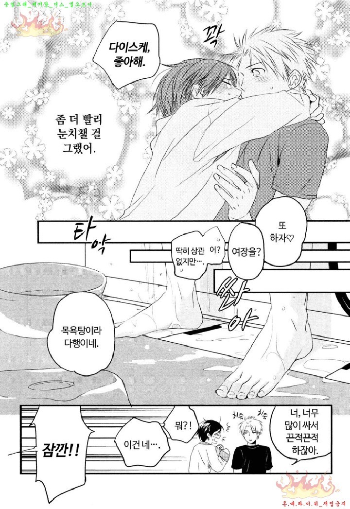 Aigan Doll 100% | 애완 돌 100%