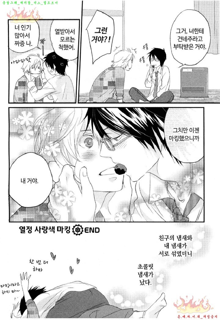 Aigan Doll 100% | 애완 돌 100%