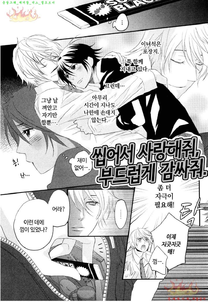 Aigan Doll 100% | 애완 돌 100%