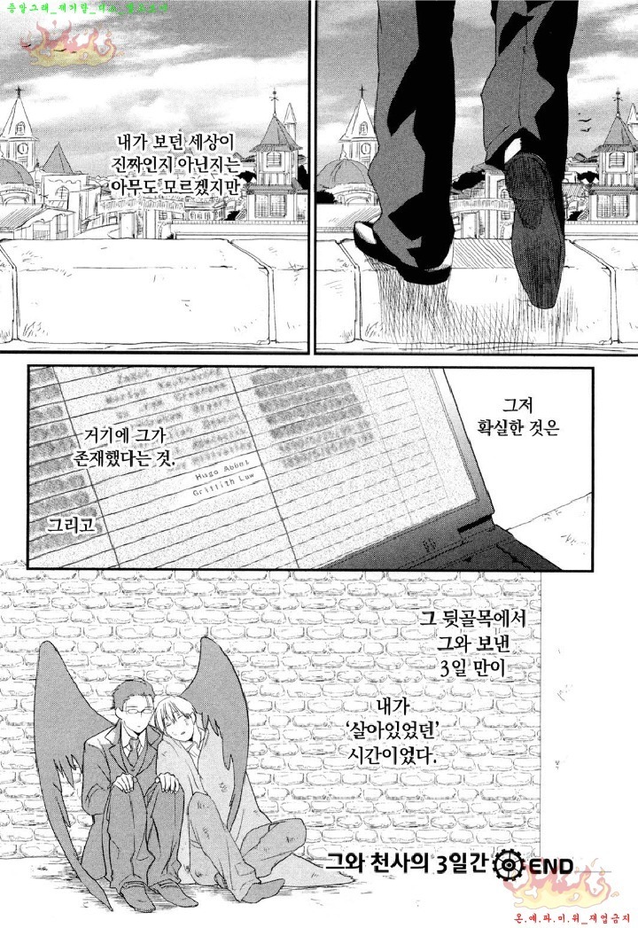 Aigan Doll 100% | 애완 돌 100%