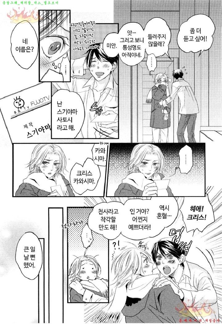 Aigan Doll 100% | 애완 돌 100%