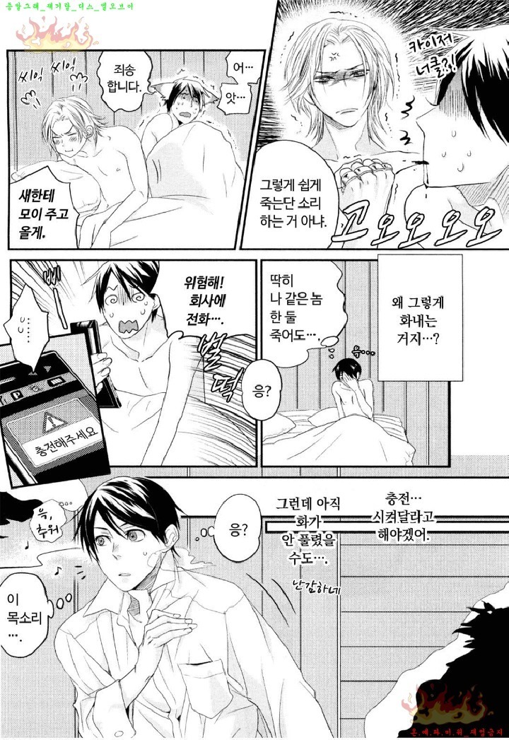 Aigan Doll 100% | 애완 돌 100%