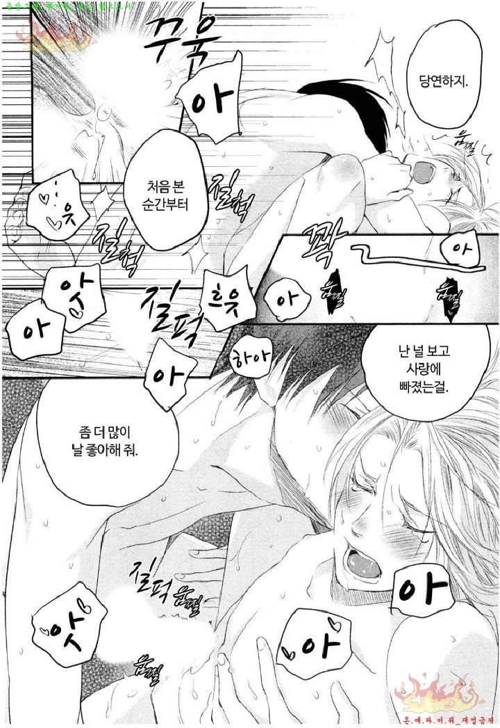 Aigan Doll 100% | 애완 돌 100%