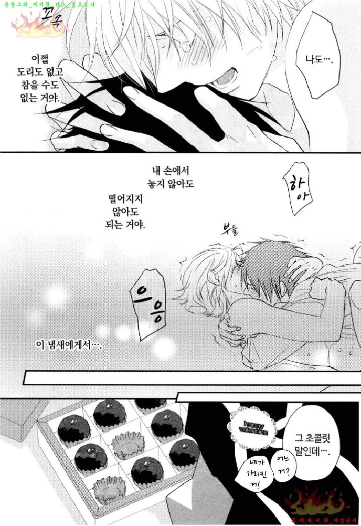 Aigan Doll 100% | 애완 돌 100%