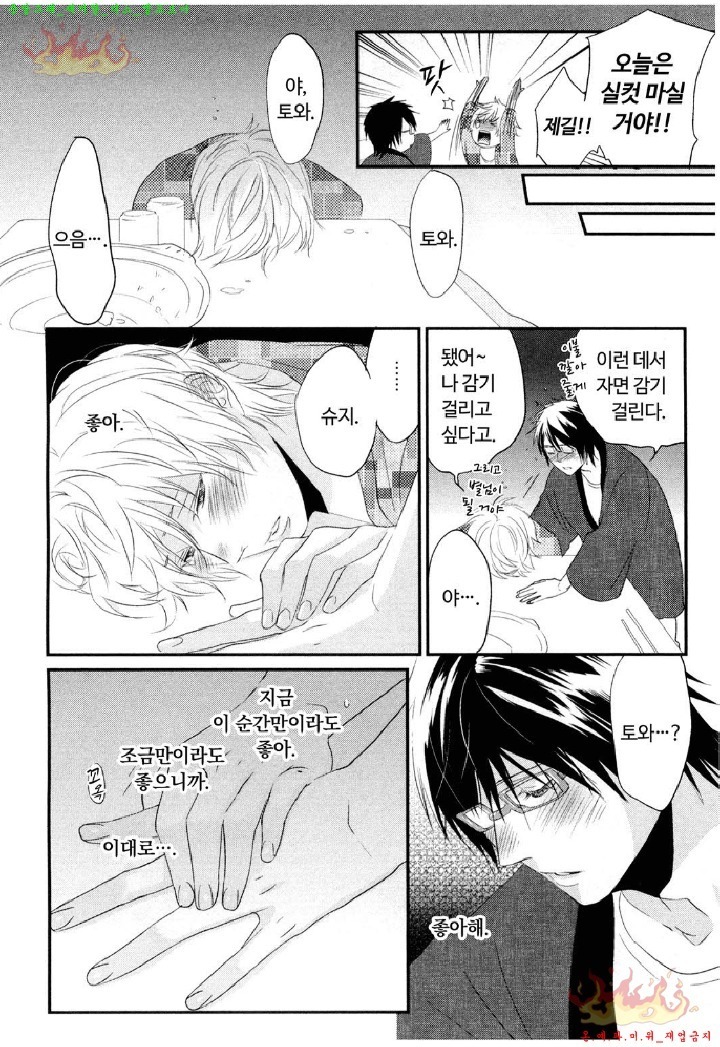 Aigan Doll 100% | 애완 돌 100%