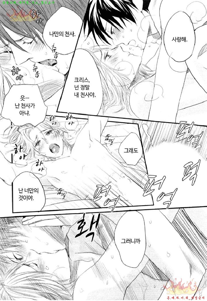 Aigan Doll 100% | 애완 돌 100%