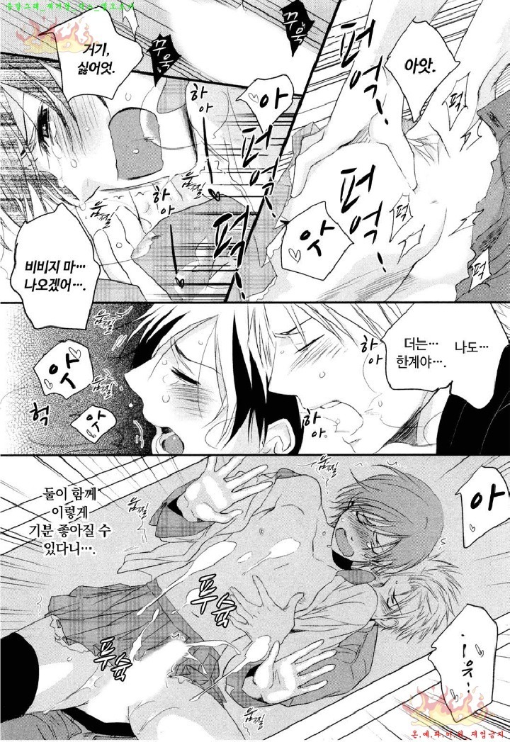 Aigan Doll 100% | 애완 돌 100%