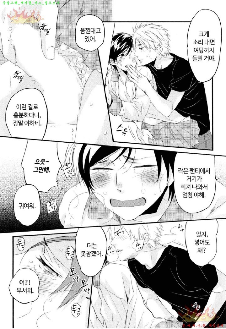 Aigan Doll 100% | 애완 돌 100%