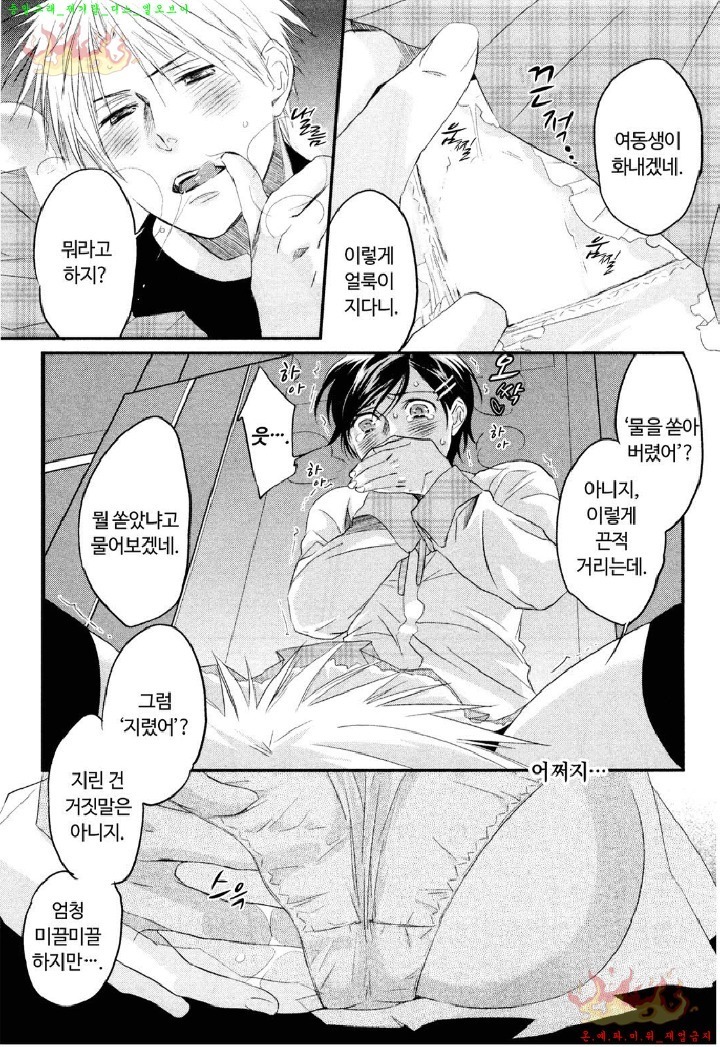 Aigan Doll 100% | 애완 돌 100%