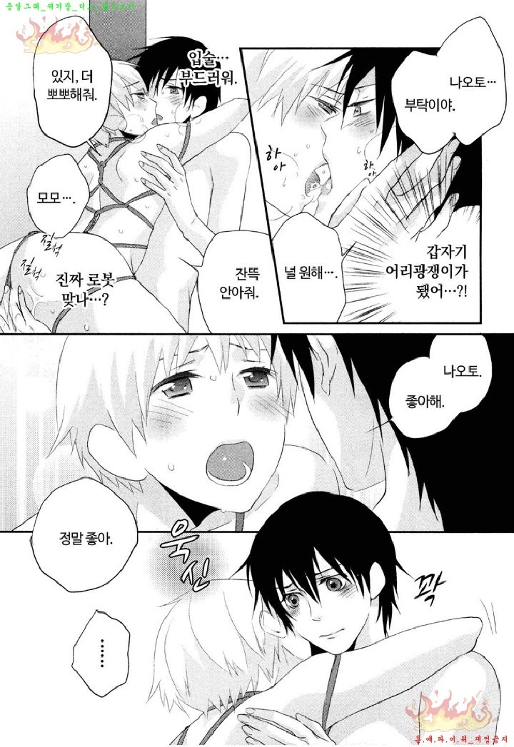 Aigan Doll 100% | 애완 돌 100%
