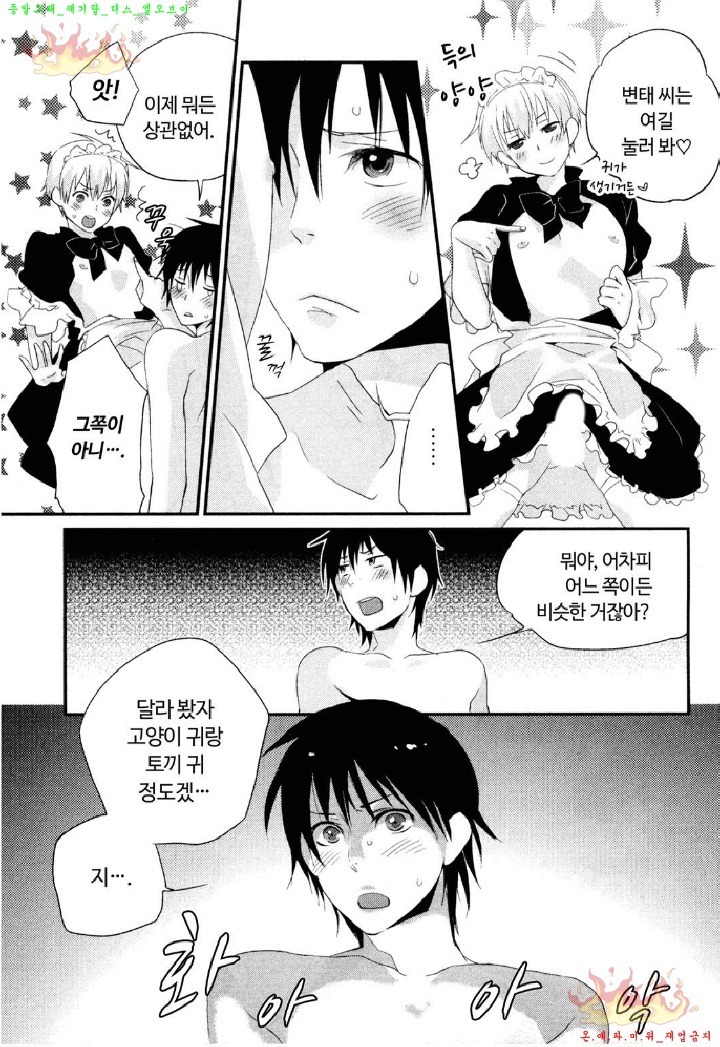 Aigan Doll 100% | 애완 돌 100%