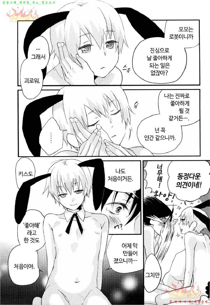 Aigan Doll 100% | 애완 돌 100%