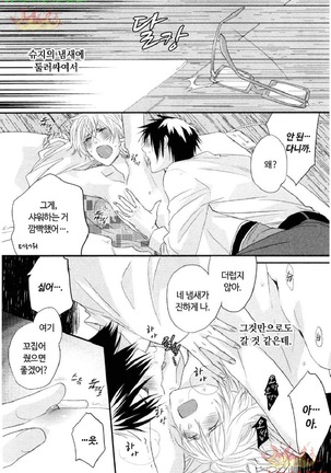 Aigan Doll 100% | 애완 돌 100% Page #45