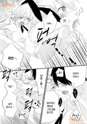 Aigan Doll 100% | 애완 돌 100% Page #17