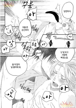 Aigan Doll 100% | 애완 돌 100% Page #79